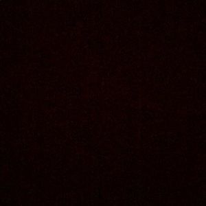 Meet your Posher, Aryanna